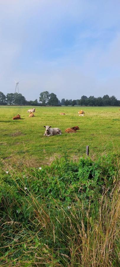 Ferienwohnung Matzibarg Ahrenviol Exteriör bild